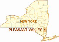 Map of NY Counties